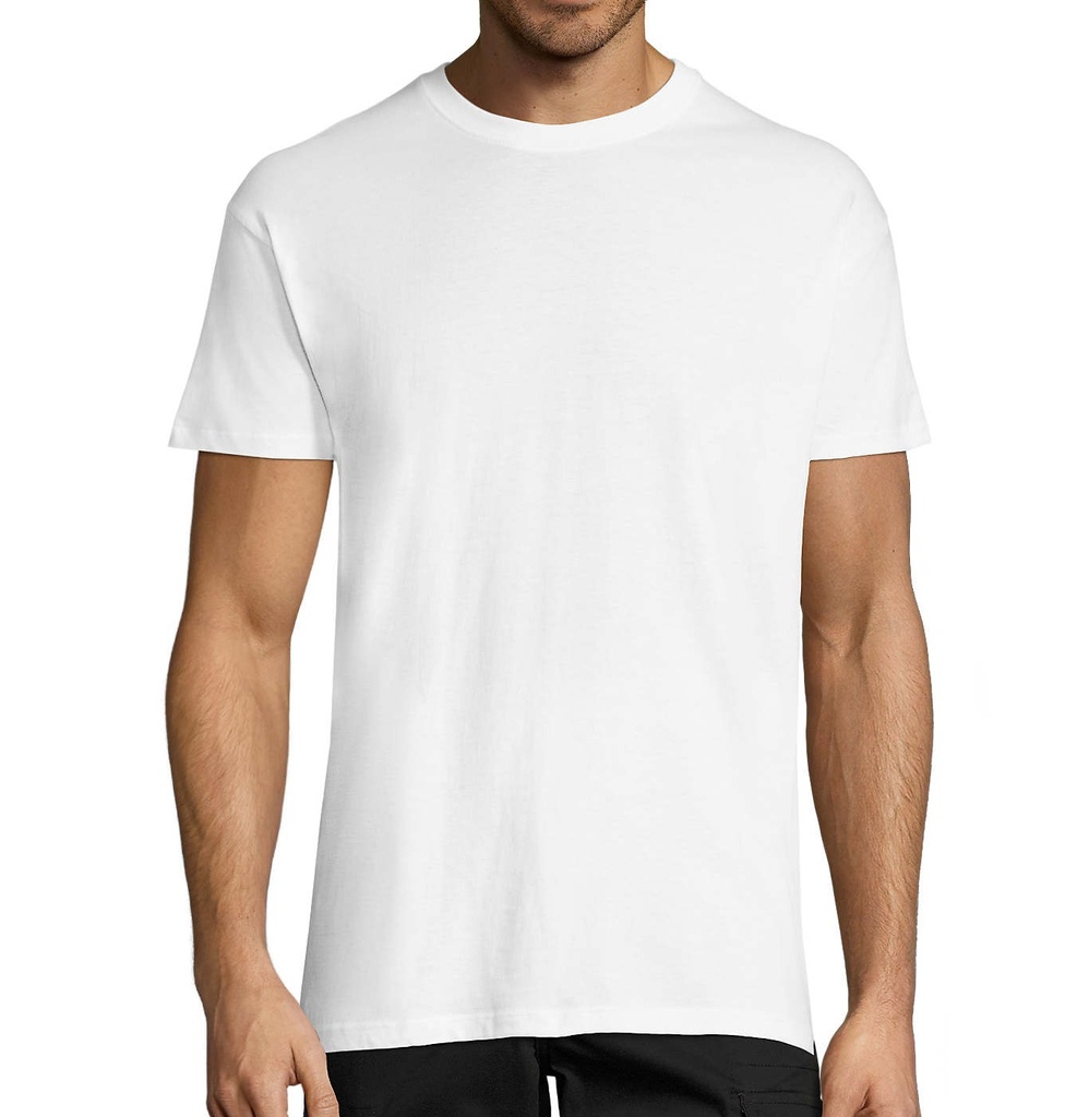 REGENT. Camiseta Manga Corta. 100% Algodón